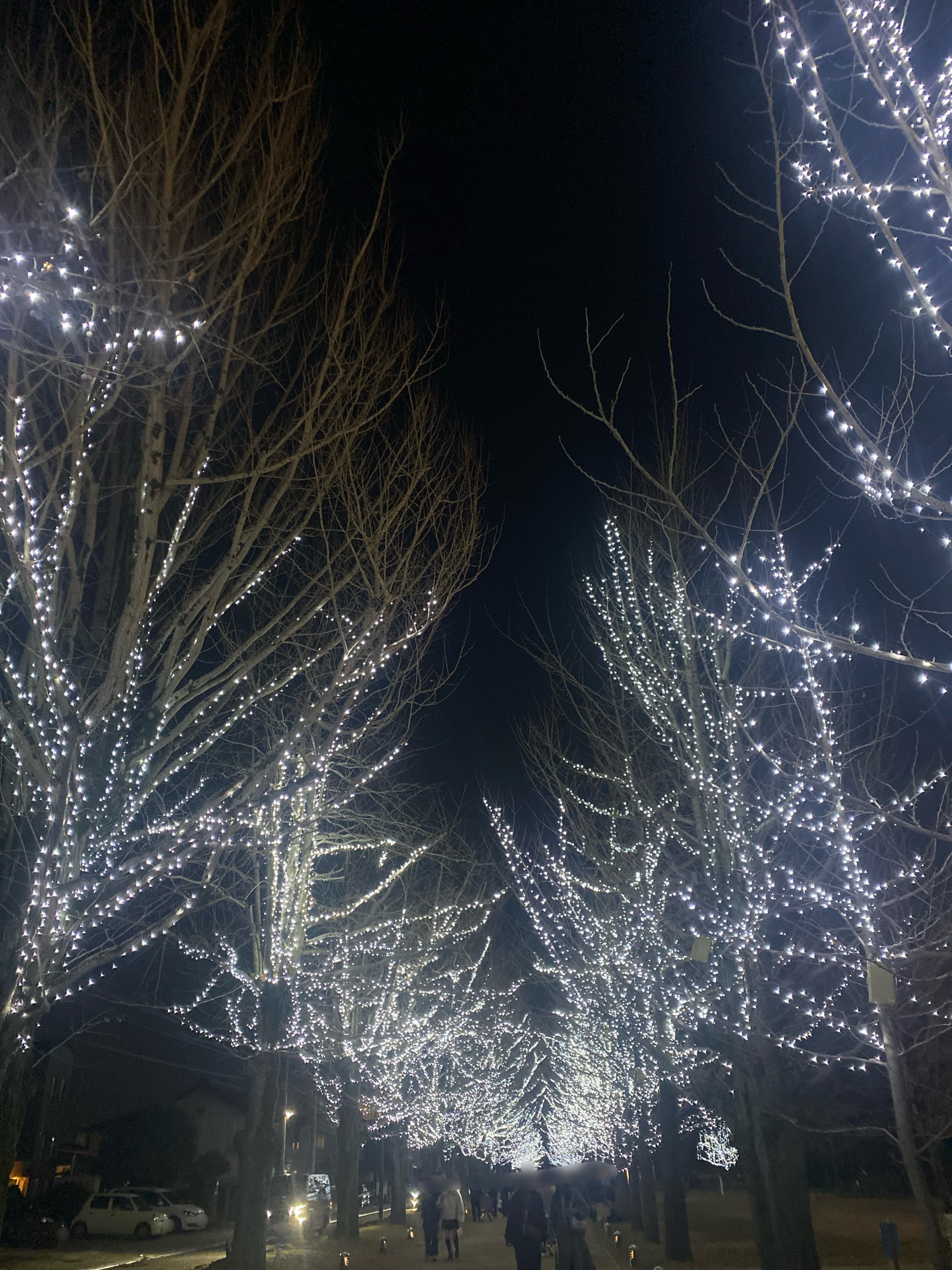 各務原市民公園のイルミネーション