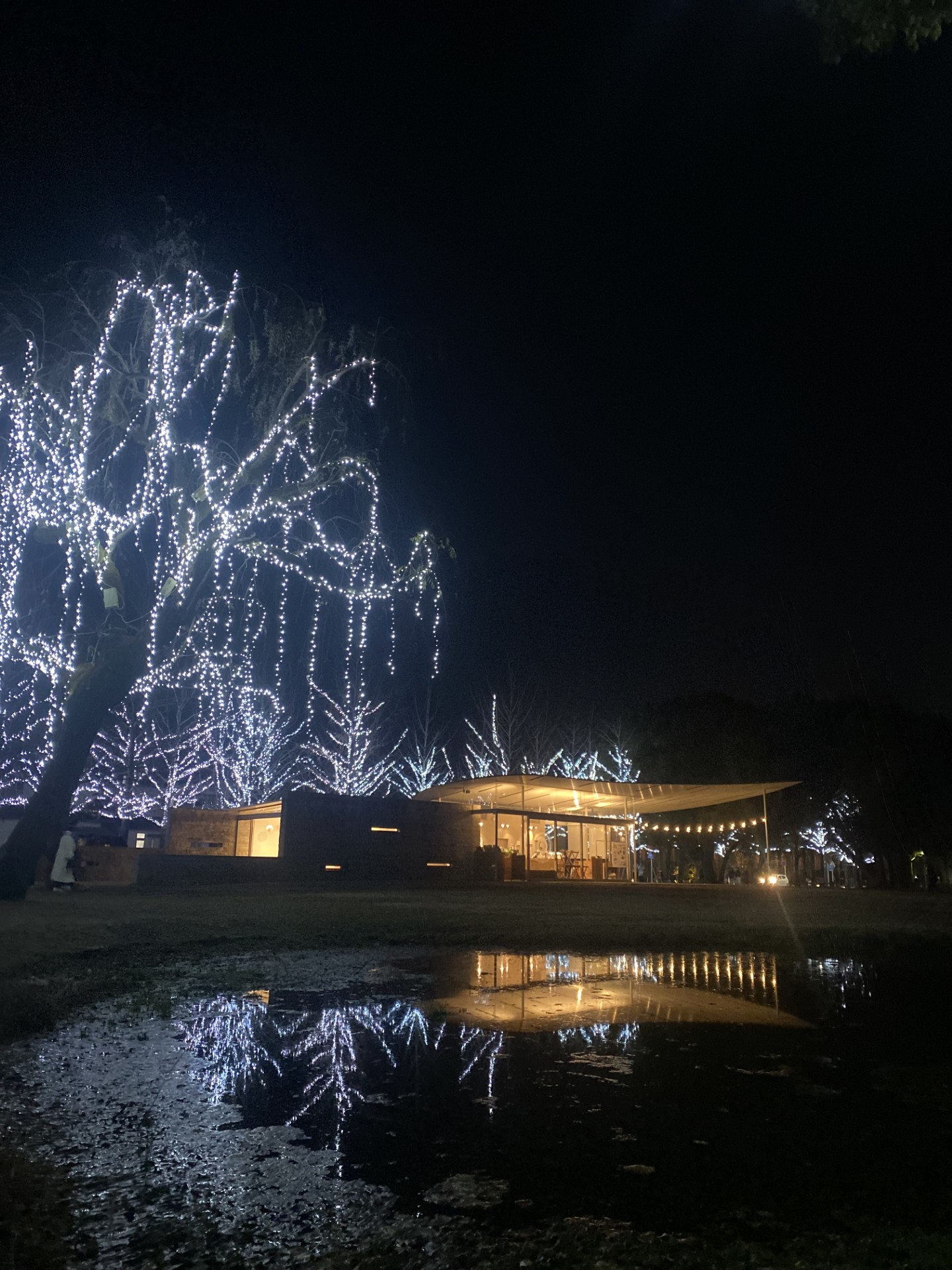 各務原市民公園のイルミネーション２