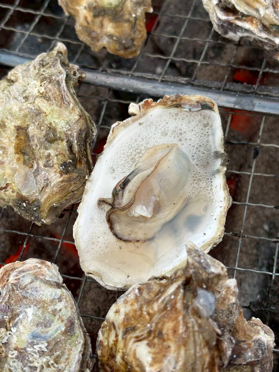 日生の牡蠣2