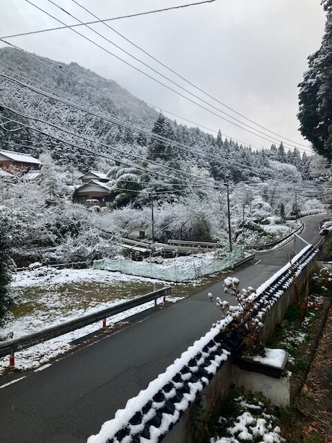 雪