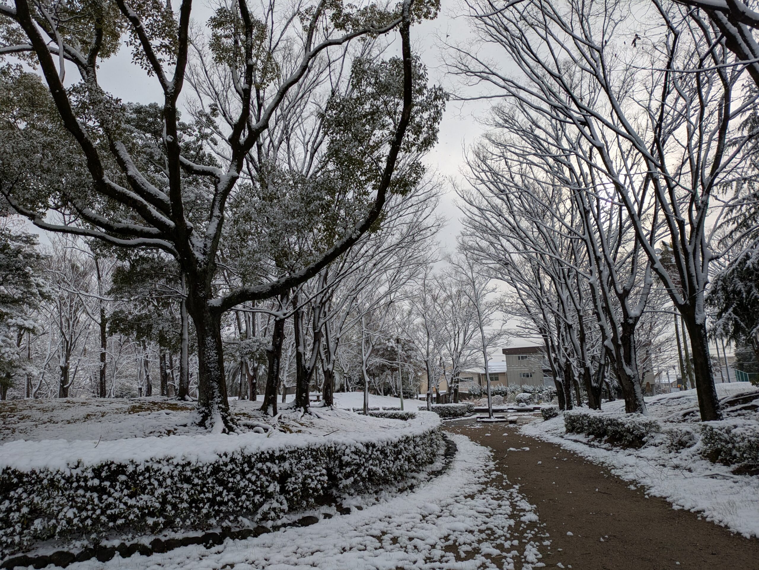 春日井バイパス店