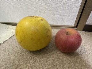 晩白柚ばんぺいゆ